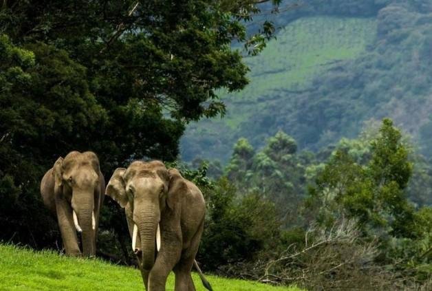 MESMERIZING OF UTTARAKHAND 