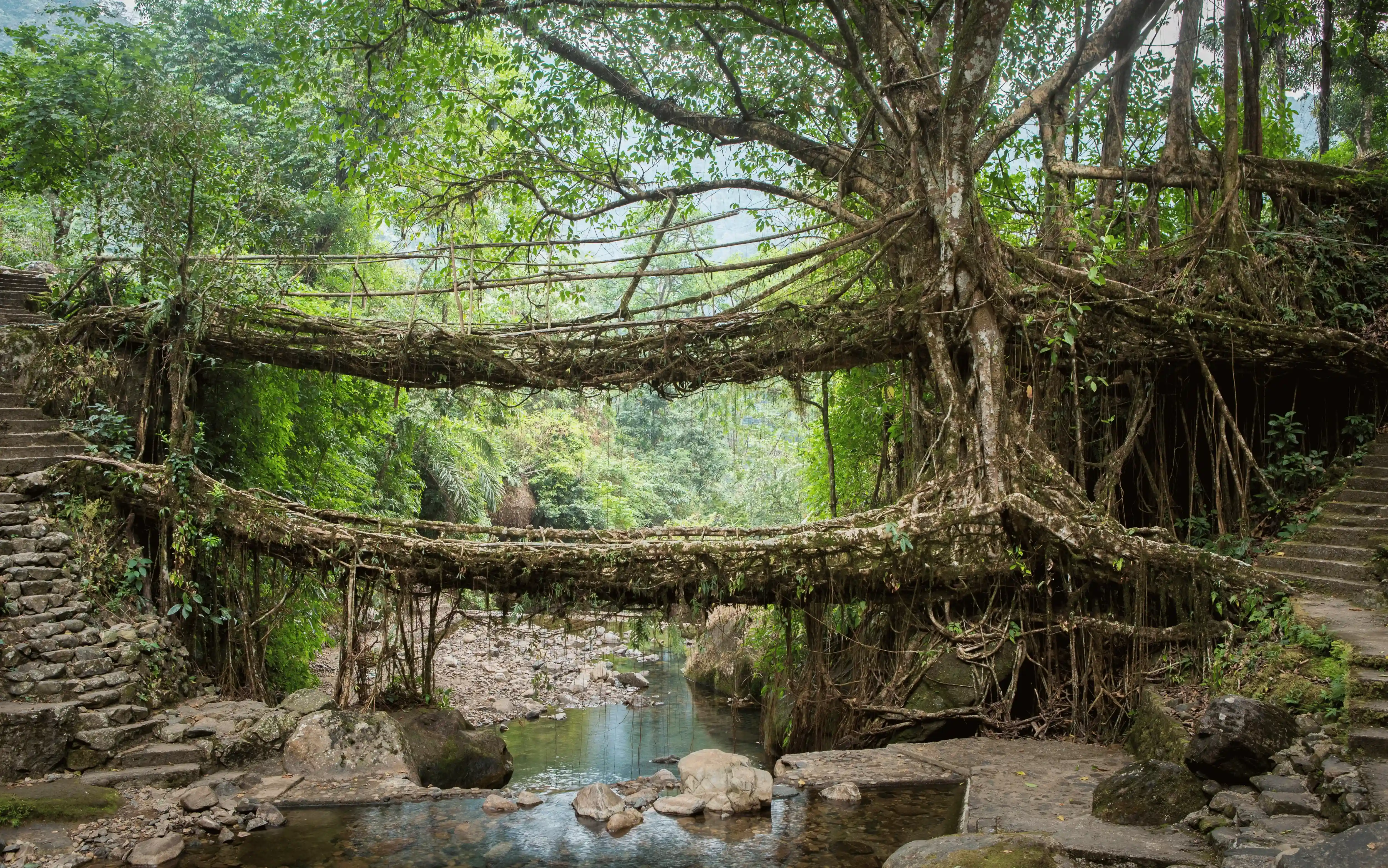 Best of Meghalaya