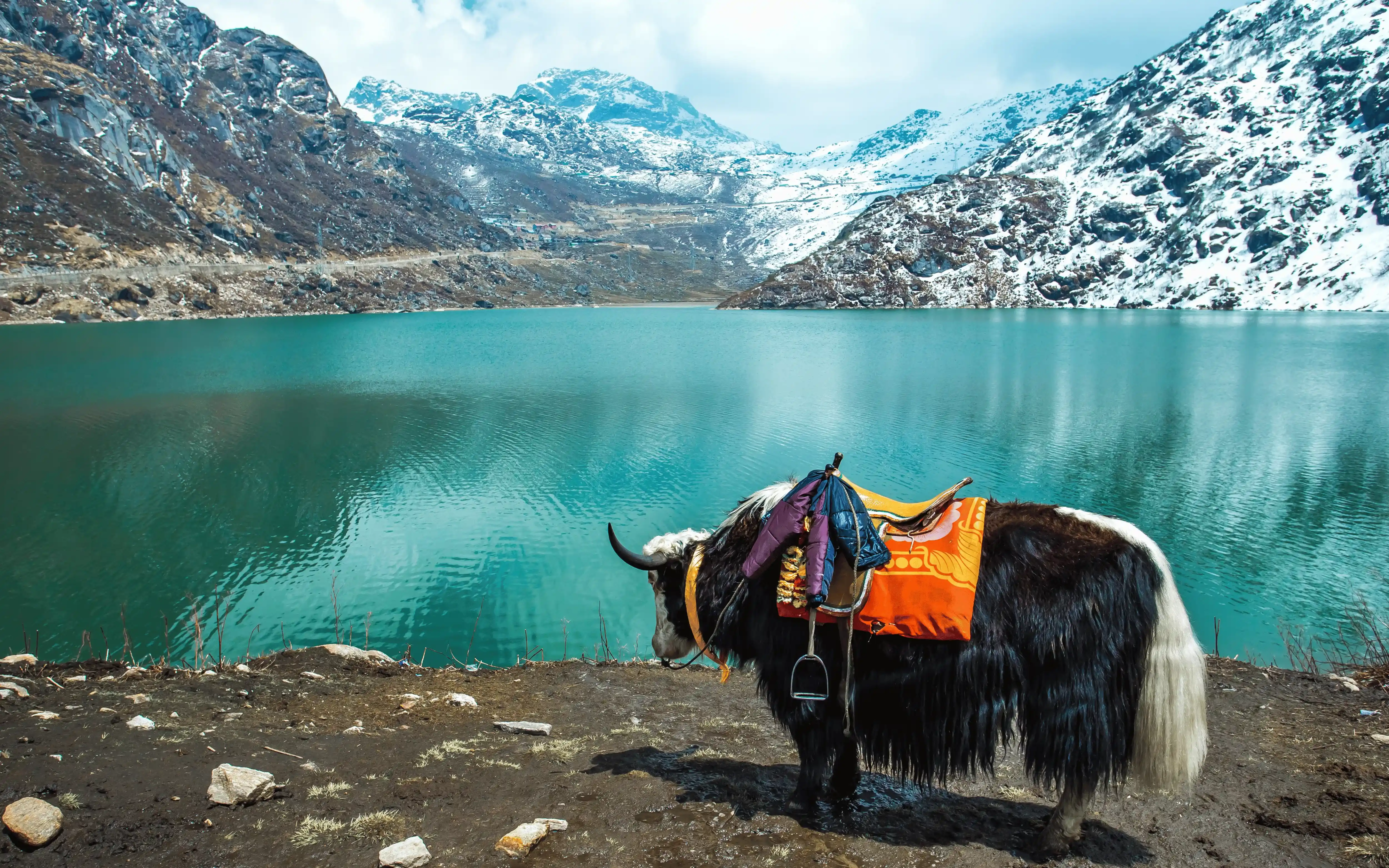 Best of Sikkim & Darjeeling